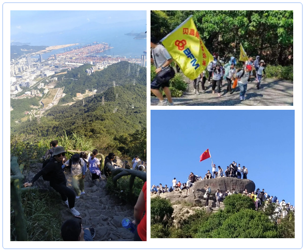欧宝·OB(中国集团)股份有限公司官网