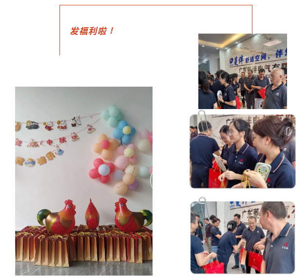 欧宝·OB(中国集团)股份有限公司官网